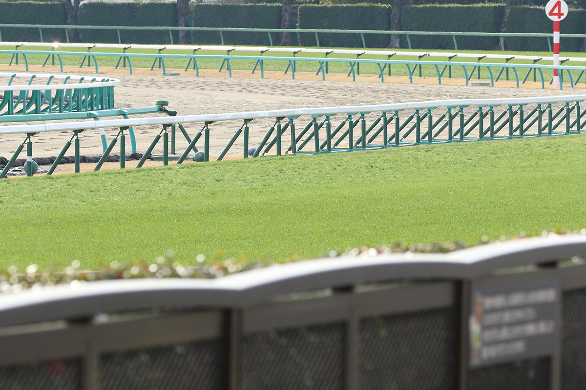 2020年の有馬記念直前のターフ風景